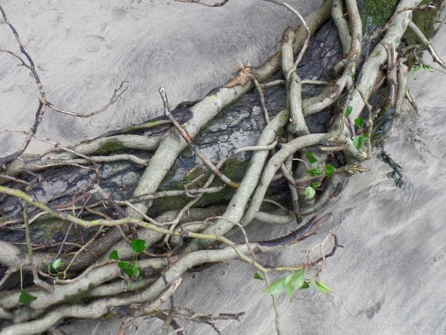 SAMSUNG CAMERA PICTURES